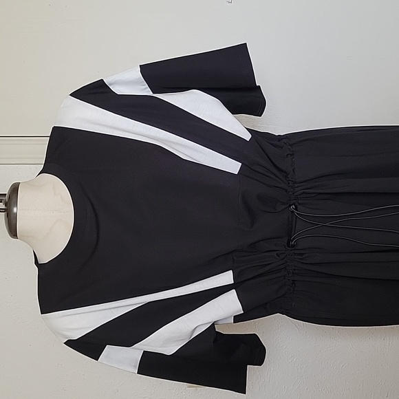 Amazon Colorblock Plus Size Dress - Picture 3 of 4